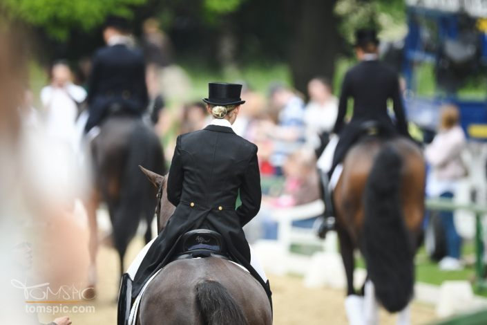 Schmuck_DRessur_Hartig